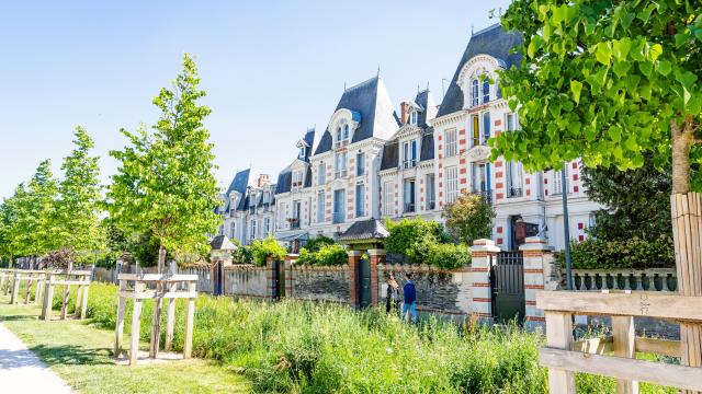 avenue jeanne d'arc angers