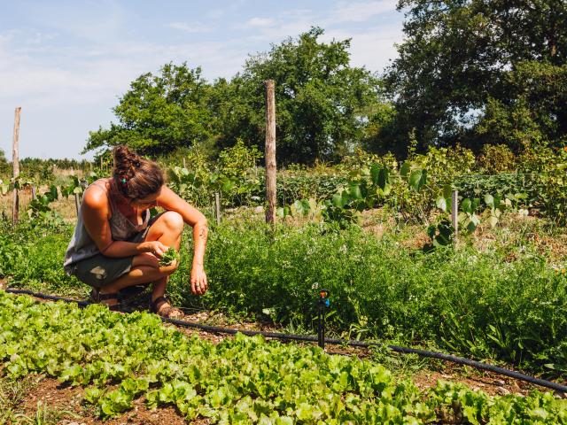 La Serre A Fines Herbes Copyright Christophe Martin Destination Angers 3989 Min